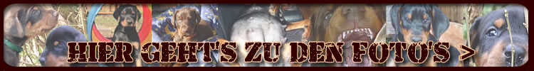 zum A - Wurf