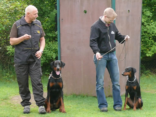 Ausdauerprüfung 03.05.2009